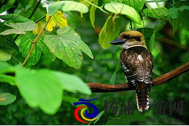 阿娇与冠希13分49秒的背景故事|明星情缘十三分钟四十九秒的秘密-3