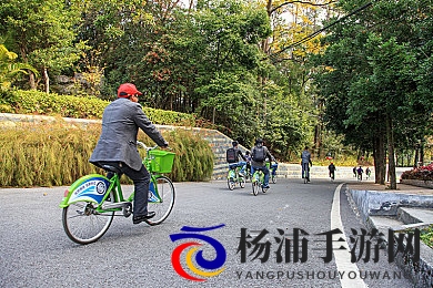 九一暗网|九月秘密网络揭秘-2