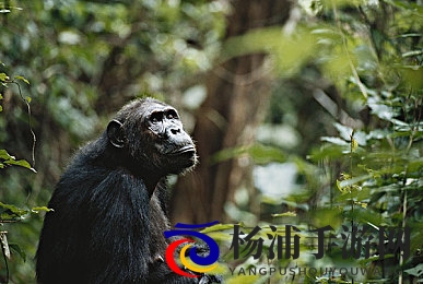 美女差差|迷人佳人展现魅力风采