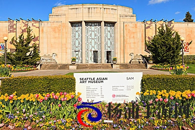 铿锵锵锵锵锵锵游戏正确答案|破解秘境的智慧之所在-1