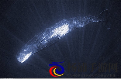 xxx软件|引领智能变革的企业管理新利器-2