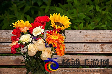 女生啊～你tm别 了二次园|二次元文化的未来路径与理性发展-3