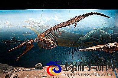 少妇疯狂做爰XXXⅩa|年轻人妻激情演绎极致欢愉-3