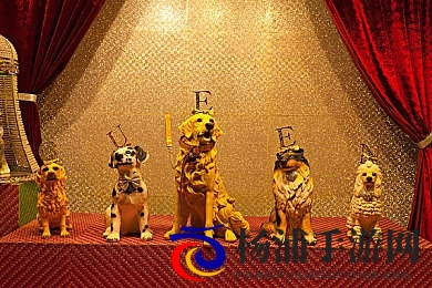 少妇被躁75分钟猛烈进入|创新玩法引领游戏新潮流-3