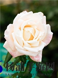 老头一边吃奶一边添下面毛片|年长者边喂食边进行亲密互动-3