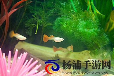 久爱视频|长久情感影像精彩无限-2