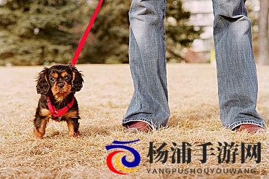 国产伦理丿天美传媒AV|国内道德影视由天美传媒出品-2