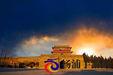 张柏芝打开双腿被亲Ps|明星自信亮相引发公众深思-2