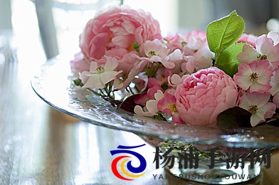 性别巴克3.0最新版更新内容|科技引领性别认知新变革-1