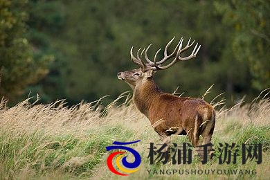 18岁以下禁止观看软件|数字娱乐行业打造青少年安全护城河-3