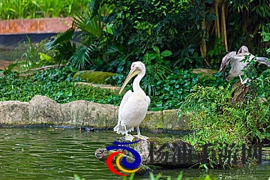 美女打开双腿  网站|精彩女郎展现魅力门户-2