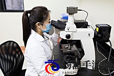 色中色APP|潮流娱乐平台安卓版推荐-2