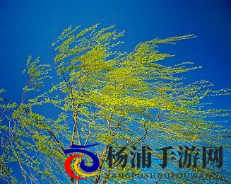 好湿 好紧 好多水还|滋润浓郁激情难以抗拒-1