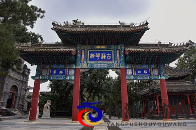 日本女优网站|全球娱乐新风潮演变背后秘密-3