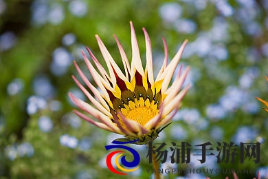 快拨出天我是你小|迅速呼唤我变成你的宝贝-3