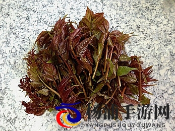 天天干天天干天天干天天|每天努力不断向前迈步