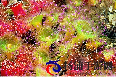 刘耀文把跳d放在宋亚轩|偶像舞台互动新潮流引领粉丝热情-1