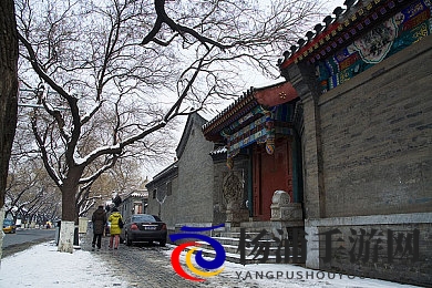 厨房里被 的最深|揭秘家庭空间隐藏的秘密奥义-2