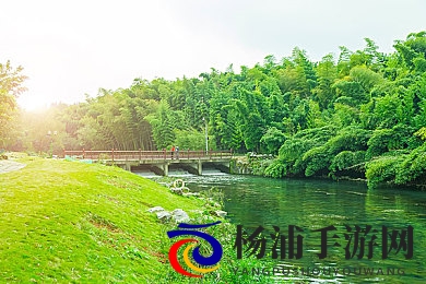 打扑克又叫又痛|扑克魅力揭示激烈竞争背后的心理博弈-3