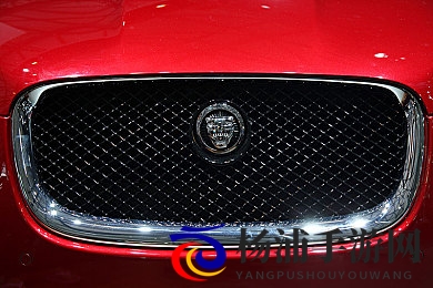 少妇被按摩高潮A片|网络内容规范强化引发隐私保护讨论-2