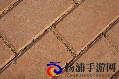 铿锵锵锵锵锵锵游戏正确答案|破解秘境的智慧之所在-3