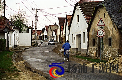 女人与公牛发生性行为后如何解决|动物权益危机背后的伦理挑战-2