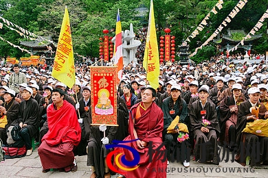 婷婷丁香色五月|芳菲五月桃色缤纷欢歌-1
