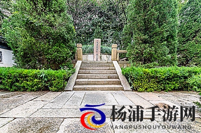 午夜网|深夜网络平台探索指南-2