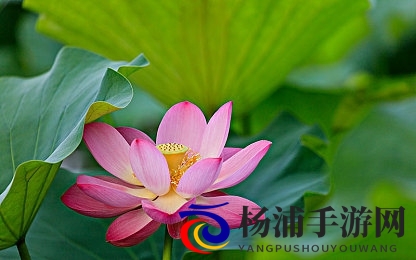 妖精漫画免费漫画入口页面羊城派|童话绘本免费阅读平台羊城先锋-2