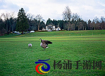 星空传媒孟孟回家相亲|银河传媒小孟归乡牵线佳人-1