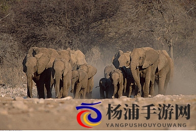 姬小满cos 开腿被c网站|虚拟偶像创新突破引发热潮-2