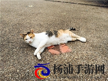 麻花传m0044苏蜜清歌|探索中华传统文化的沉浸式奇幻之旅-2