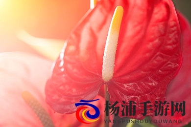 调教打屁股|学习惩戒技巧促进成长-3