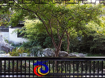 揉 啊 嗯～出水了玩具|创新玩具引领家庭娱乐新潮流-2