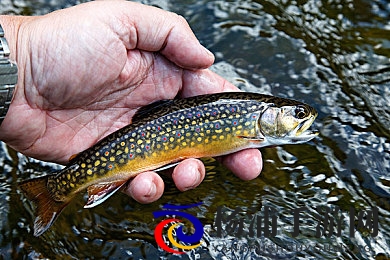 好.色.先.生丅∨|热情倾心的年轻教师展开精彩人生-1