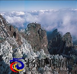 国产黑人与chinesebbc|国内非洲血统人士与亚洲影星协会-3