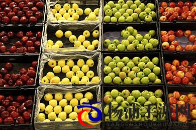 黄色直播软件|暗潮涌动的隐形直播行业未来发展-2