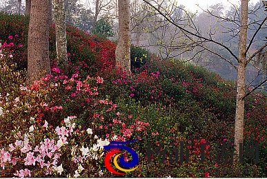 3p被两个男人换着玩|两男轮流体验三人快乐-2