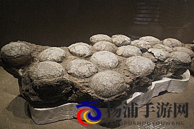 911八卦爆料网 最新爆料|最新娱乐内幕揭示一手消息-2