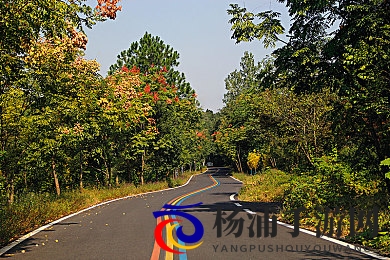 缅甸北部血腥网站免费进入|极端游戏体验背后的隐藏风险-2