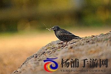 ass女厕小便pⅰcs|公共空间隐私危机引发社会 综合治理迫在眉睫-3