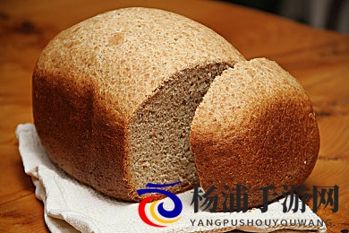 1995版意大利丛林泰山|九五意大利荒野泰山传奇