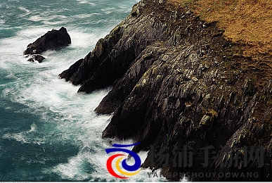 色一区二区|多彩内容展示平台-2