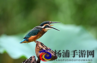 黄小婷穿丁字裤被农民工|游戏产业的伦理边界与社会责任-3