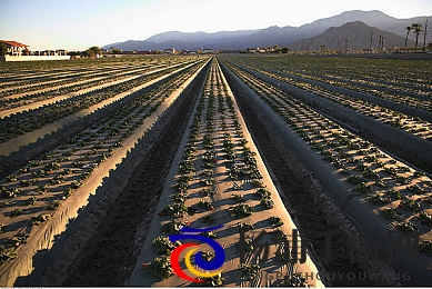 天天日天天操心|现代人如何应对快节奏生活压力-2