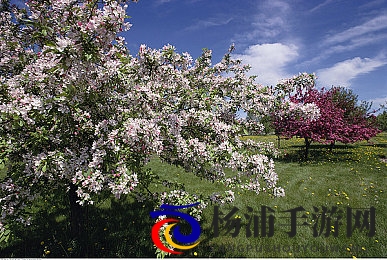 撕开少妇裙子猛然进入|网络热议事件引发法律社会多维关注-1