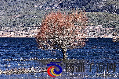 张篵雨水上阁楼图片照|摄影展示张篵雨登楼的精彩瞬间-1