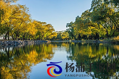 粗口調教Gay2022.com|激情训导男同志2022网站