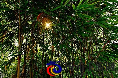 铜铜铜铜铜铜铜好多水|共筑无忧水源未来的重要行动-2