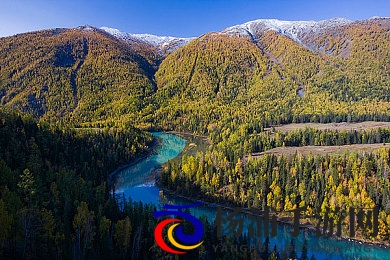 少妇中医馆推油按摩呻吟|行业规范引领中医按摩未来发展-2